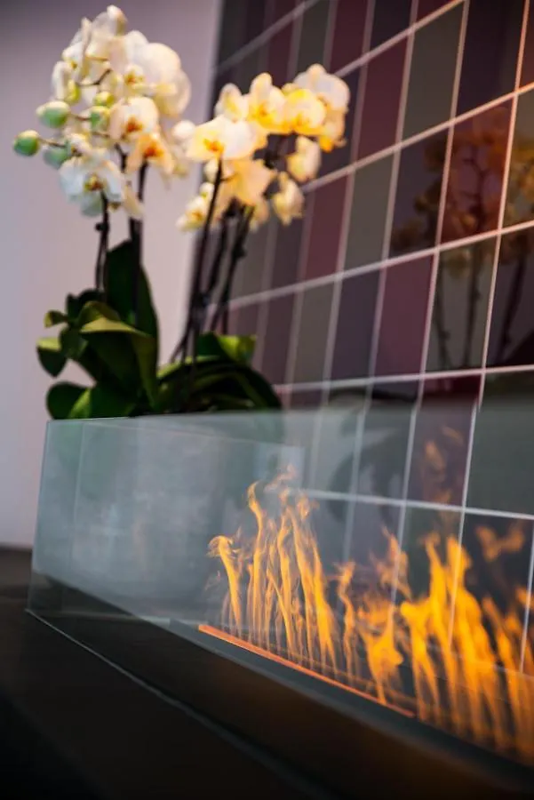 Intercityhotel Geneva Vernier Ξενοδοχείο